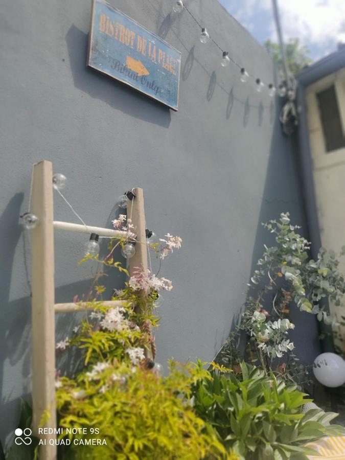 Le Cocon Des Hortillonnages D'Amiens Camon  Экстерьер фото