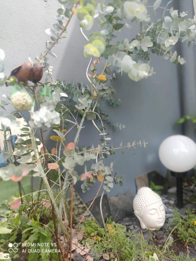 Le Cocon Des Hortillonnages D'Amiens Camon  Экстерьер фото