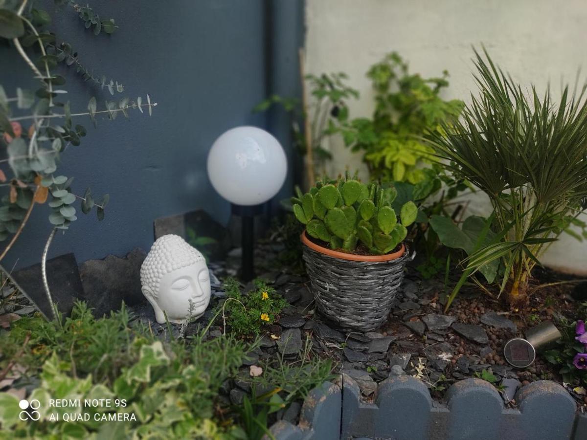 Le Cocon Des Hortillonnages D'Amiens Camon  Экстерьер фото