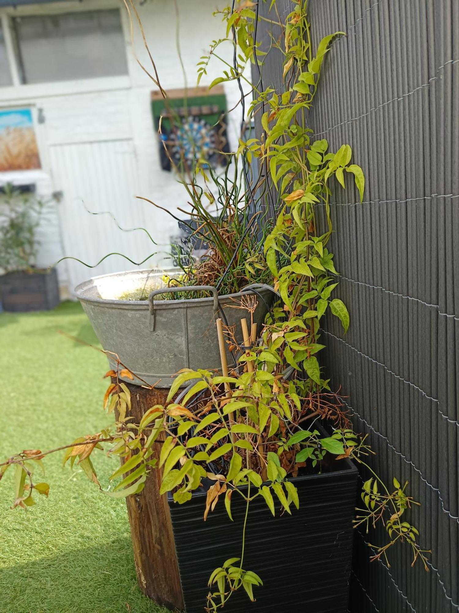 Le Cocon Des Hortillonnages D'Amiens Camon  Экстерьер фото