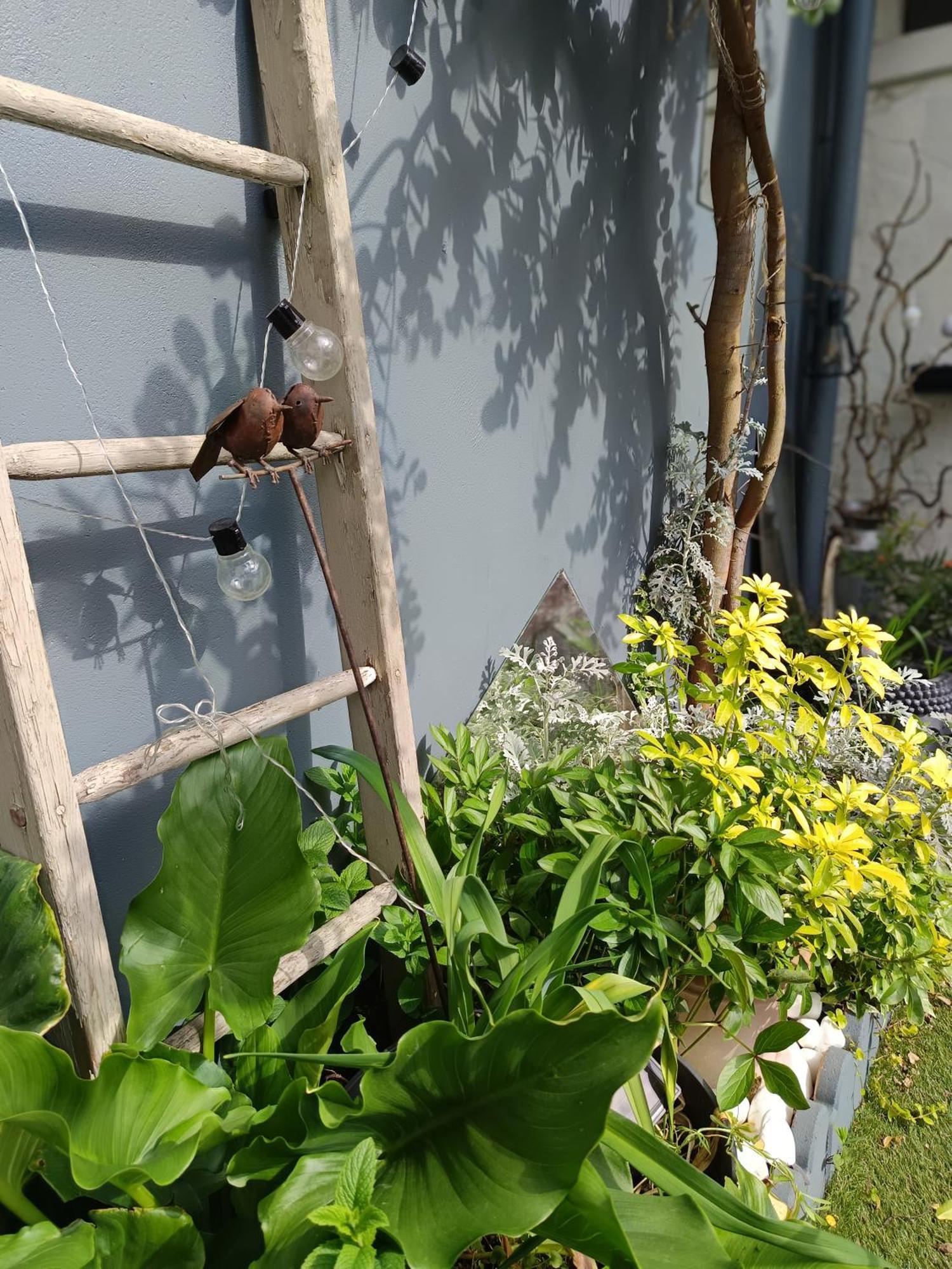 Le Cocon Des Hortillonnages D'Amiens Camon  Экстерьер фото